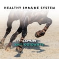 thumbnail image 4 of Manna Pro Sho-Flex Supplement for Horses, Formulated with MSM, Glucosamine, and Chondroitin, 5 lb, 4 of 7
