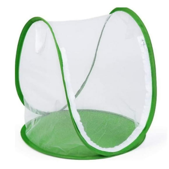 Folding Feeding Insect Cage Butterfly Cage Outdoor