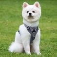 thumbnail image 4 of Deeceymbur Dog Leash and Collar Set, Dog Leash for Small Medium Dogs Puppy and Cats Outdoor Walking Running, 4 of 6