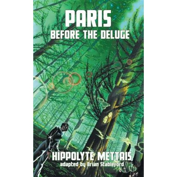 Paris Before the Deluge (Paperback)