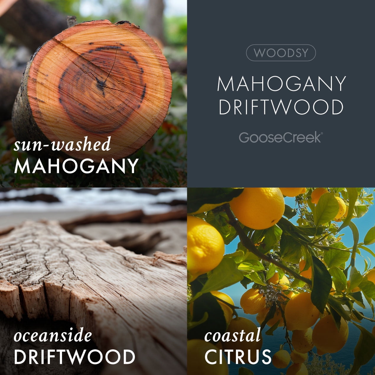 (4 pack) Goose Creek 3 Wick Mahogany Driftwood Scented Jar Candle, 14.5oz.