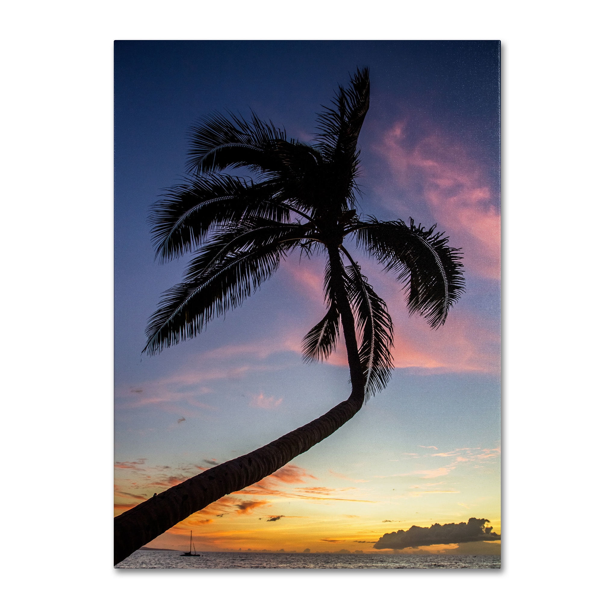 Trademark Fine Art "Sunset Palm" Canvas Art by Pierre Leclerc