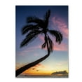 thumbnail image 2 of Trademark Fine Art "Sunset Palm" Canvas Art by Pierre Leclerc, 2 of 2