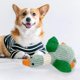 thumbnail image 4 of Juguetes para perros Sunnimix Entrenamiento Chirriante Masticadores Agresivos Verde, 4 of 7