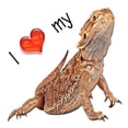 thumbnail image 3 of CafePress - I Luv My Bearded Dragon Large Mug - 15 oz Ceramic Large White Novelty Mug, 3 of 6