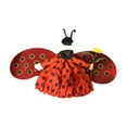 thumbnail image 2 of Bothyi Cute Goose Outfit Porch Goose Costume Outdoor Decoration Creative Birthday Party red ladybug, 2 of 8