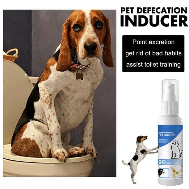 Dog potty hotsell training spray walmart