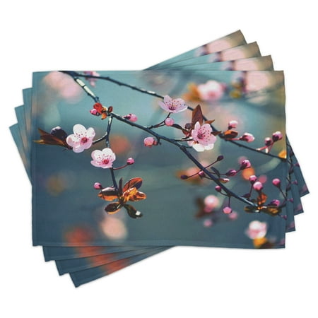 

Nature Placemats Set of 4 Japanese Blooming Cherry Tree Flowers on Branch Sakura Theme Picture Washable Fabric Place Mats for Dining Room Kitchen Table Decor Pale Pink Orange and Blue by Ambesonne
