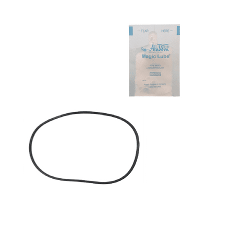- Puri Tech O-RING - Pentair 39010200 & Others w/ Single Use Lubricant