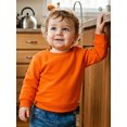 thumbnail image 5 of RUINIXCW Toddler Baby Boy Girl Crewneck Fleece Sweatshirt Nebworn Infant Baby Girl Boy Spring Fall Winter Warm Clothes Long Sleeve Solid Basic Pullover Sweater Shirts Tops, 5 of 9