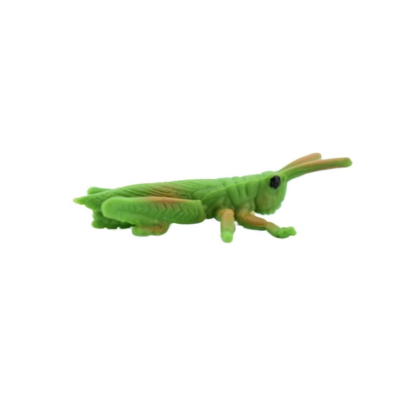 Grasshopper, Rubber Insect, Realistic Toy Figure, Model, Replica, Kids, Educational, Gift, 2" CH400 BB108