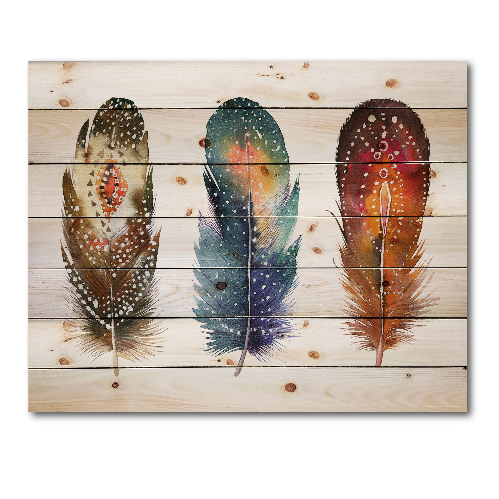 Designart 'Colourful Boho Art Feather Set IX' Bohemian & Eclectic Print on Natural Pine Wood