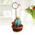 thumbnail image 6 of WHAMVOX Succulent Plants Microlandschaft Memo Clips Message Photo Holder Stand (Cactus ), 6 of 8
