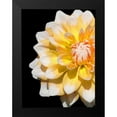 thumbnail image 2 of Foschino, Suzanne 12x14 Black Modern Framed Museum Art Print Titled - Cheerful Dahlia 28, 2 of 5