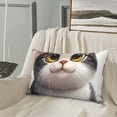 thumbnail image 5 of Naloa Cute Cartoon Kitten Pillowcase, Throw Pillowcase, Wrinkle-Free, Stain-Resistant with Hidden Zipper for Bedroom Sofa-16"x24", 5 of 6