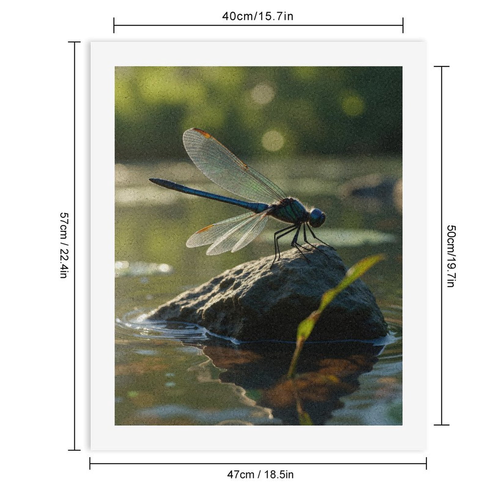 Paint By Numbers Kit for Adults Beginner - DIY Dragonfly Resting On Rock Canvas Painting Kits for Adults, Frameless Paint By Number for Adults for Home Wall Decor 16x20 Inch