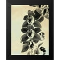 thumbnail image 2 of Burghardt, James 19x24 Black Modern Framed Museum Art Print Titled - Orchid Blush Panels IV, 2 of 5