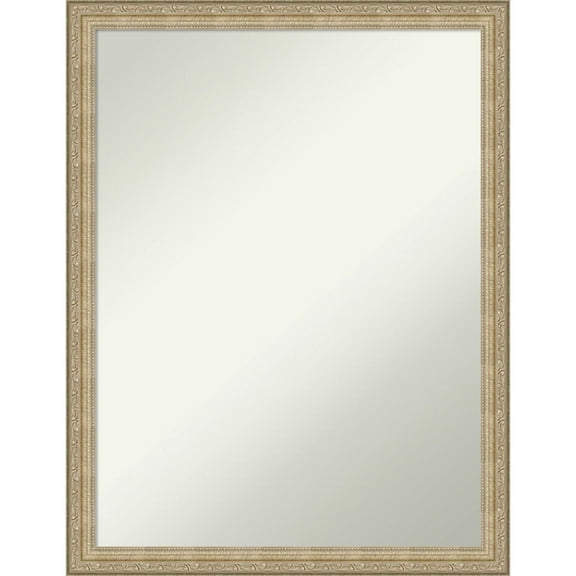 Amanti Art Paris Champagne Framed Non-Beveled Bathroom Vanity Wall Mirror - 20 x 26 in