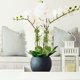 thumbnail image 4 of Fixed Artifact Of Green Rose And Green Traceless Household Buckle Climbing Indoor Wall Hook Fixing Clip, 4 of 5