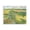 Windswept Flower Meadow, variant on Stupell Industries Traditional In The Wild Flow Canvas Art, 20 x 16, by Svetlana Aleynikova