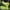 Green, variant on Water Shoes for Men Women Barefoot Quick-Dry Aqua Sock Outdoor Athletic Sport Shoes Kayaking Boating Hiking Surfing Walking