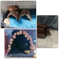 thumbnail image 3 of Puente para hámster, escalera para ratas, juguete de madera natural para jaulas de animales pequeños, escalera de madera, escondite natural para cobayas, casa para animales pequeños, 3 of 8