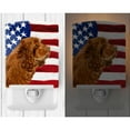 thumbnail image 2 of Carolines Treasures SS4037CNL USA American Flag with Sussex Spaniel Ceramic Night Light 6x4x3" multicolor, 2 of 2