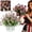 Memorial Day Artificial Flowers 3, variant on 12Bundles Red White Blue Artificial Violets Eucalyptus,UV Resistant Patriotic Faux Plants,All Weather Silk Fake Flowers Spring Summer Porch Patio Yard Window Box Planter Indoor Outdoor Decor