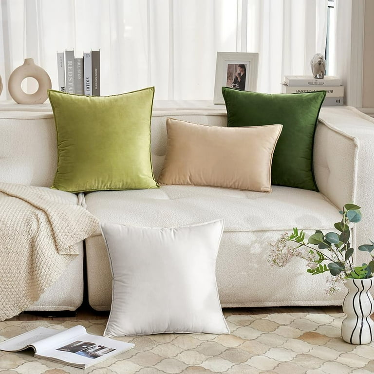 Cterwk Pack Soft Velvet Square Throw Pillow Covers Square