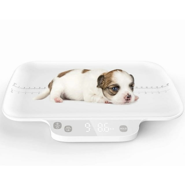 Báscula para cachorros con función de retención, precisión 1 g/0,035 oz, máx. 15 kg/33,06 libras, adecuada para mascotas recién nacidas, gatitos, chihuahua, gatos