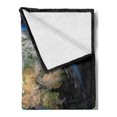 thumbnail image 2 of Earth Soft Flannel Fleece Blanket, Vivid Earth Globe with Blue Seas Greenery Volumetric Clouds Science Theme, Cozy Plush for Indoor and Outdoor Use, 50" x 70", Blue Green Sand Brown, by Ambesonne, 2 of 5