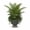 Green, variant on Sereia Pedestal Ceramic Planter with Layered Glaze