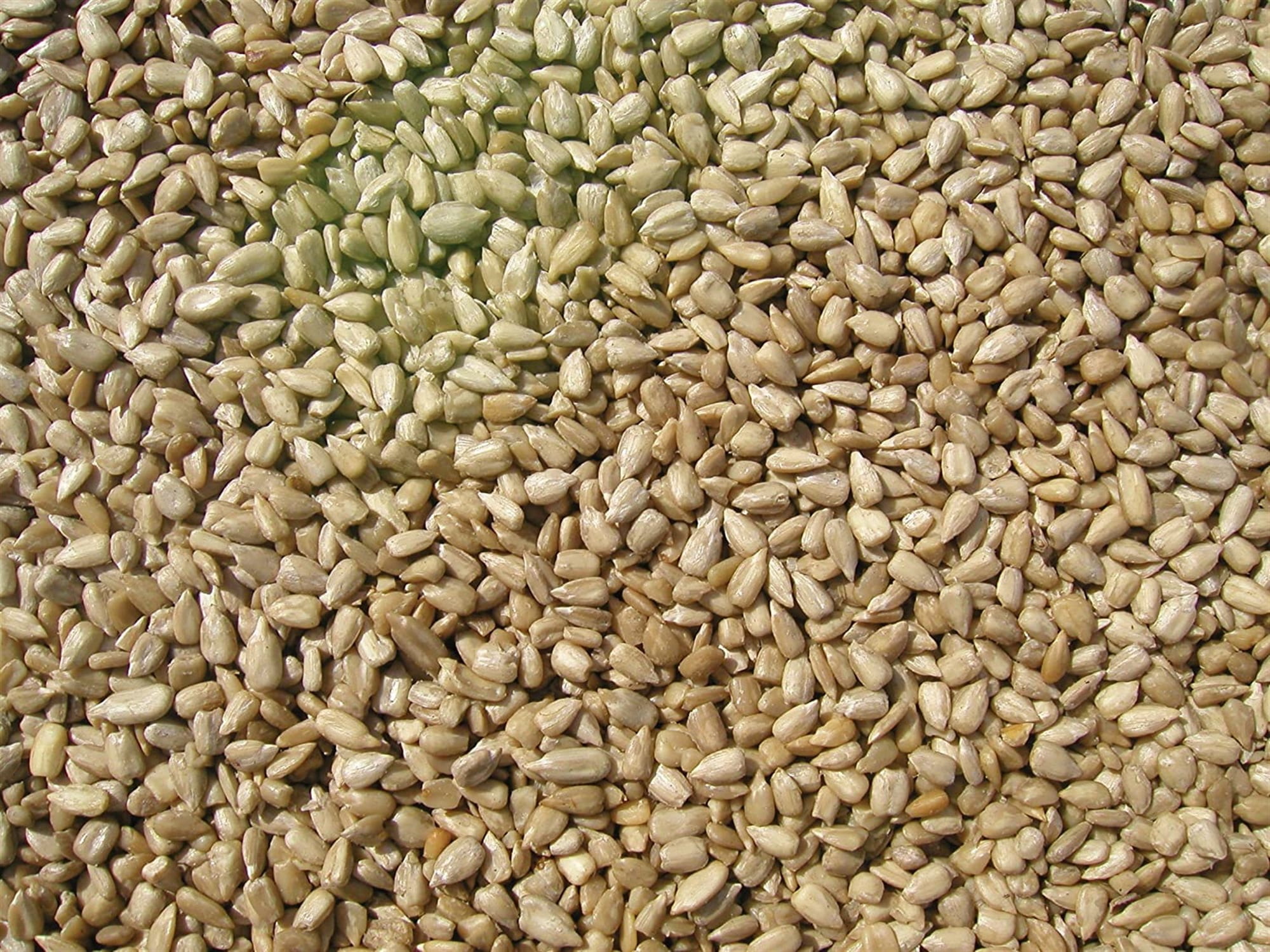 Cole's Sunflower Meats Bird Seed, 10-Pound