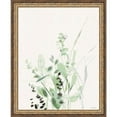 thumbnail image 1 of Great Art Now Grasses II on Linen by Katrina Pete, Framed Wall Art, 18W x 22H, 1 of 3