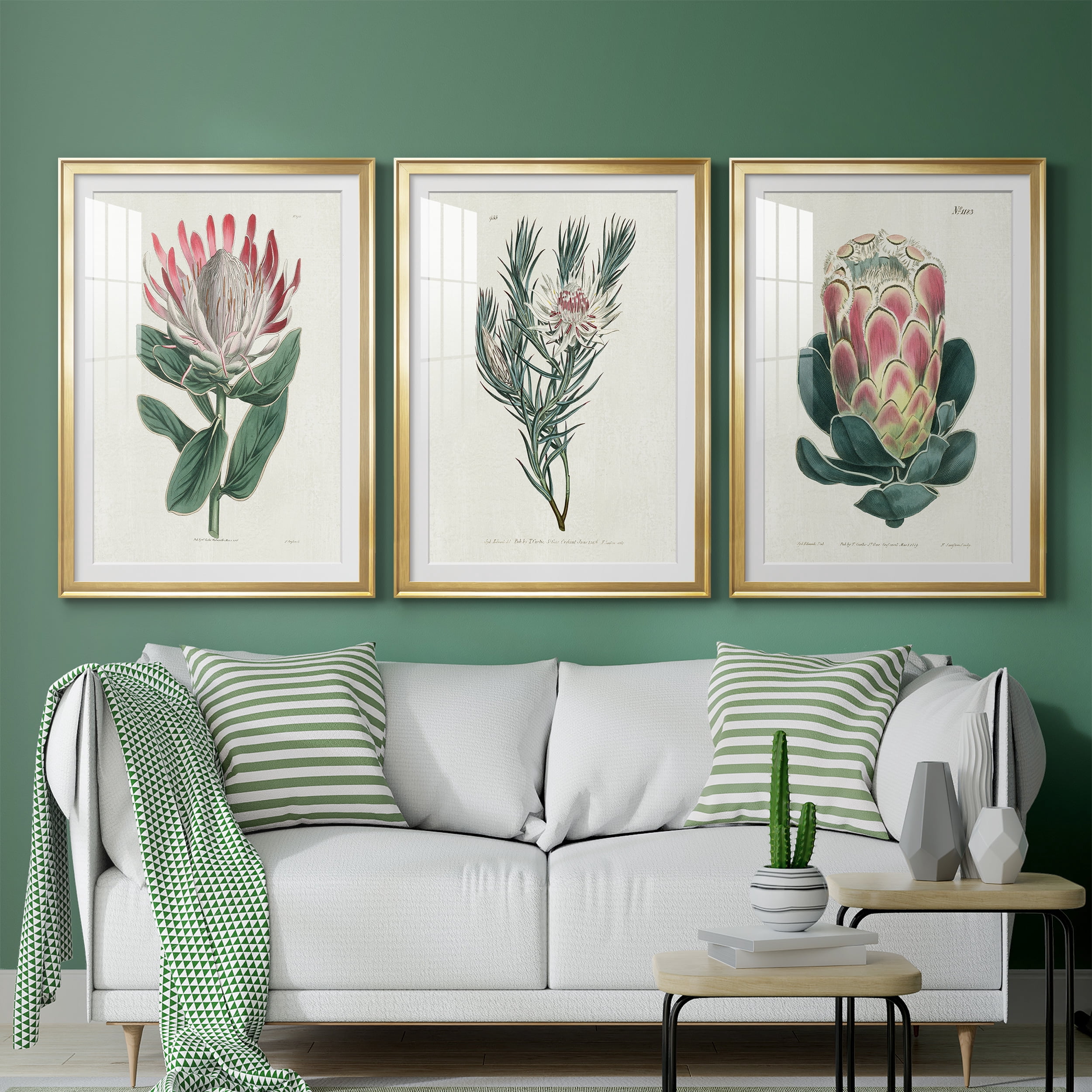 Protea N13 Premium Framed Prints Set of 3 - Ready to Hang - 30.5 x 42.5 Each - Gold Frame