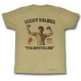 thumbnail image 1 of Rocky Stallion Khaki Heather T-Shirt, 1 of 2