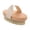 B, variant on Piwvid Dry Brushing Body Brush Natural Boar Bristle Bamboo Brush with Long Handle, Exfoliating Back Scrubber for Body Face Foot Massage Care