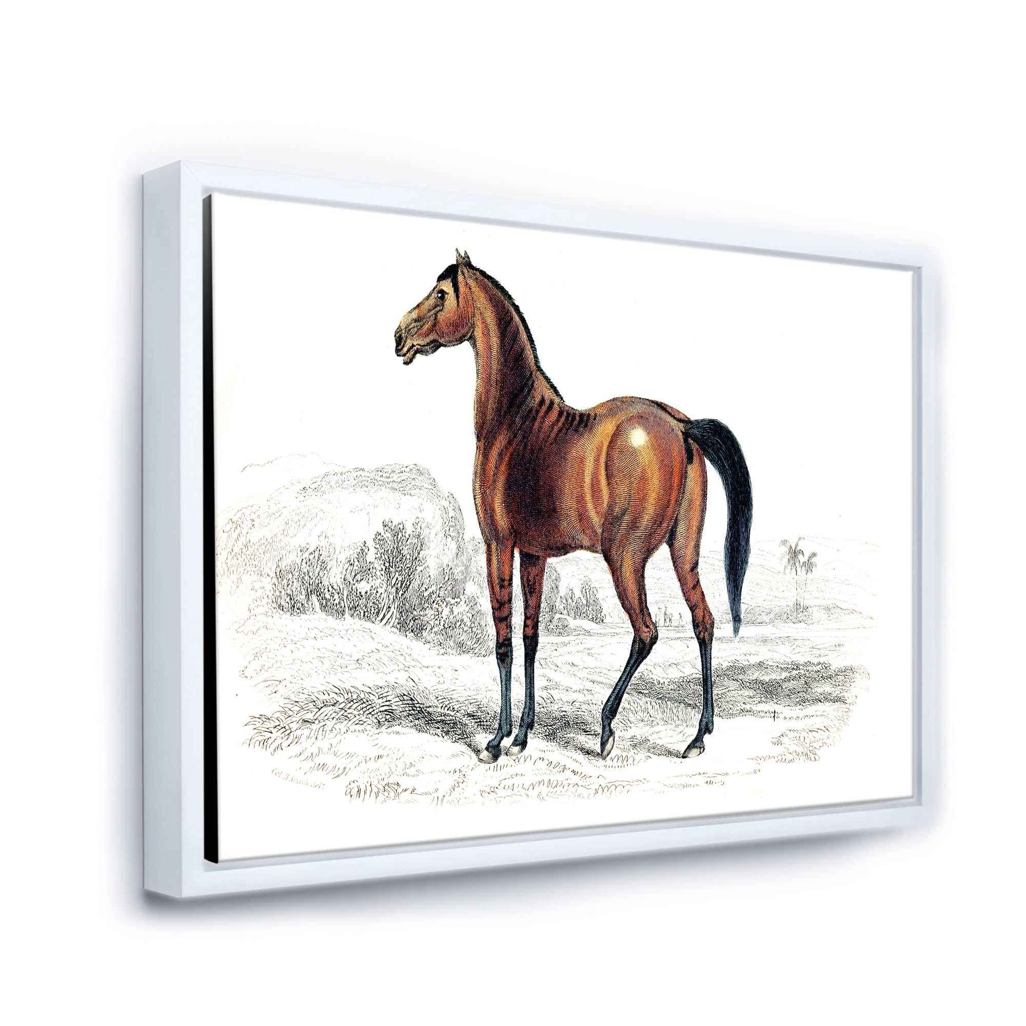 Designart 'Ancient Horse' Farmhouse Framed Canvas Wall Art Print