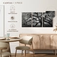 thumbnail image 5 of Elephant Stock Monochrome Angel Oak Tree Wall Art - Horizontal Multi Panel Canvas - Living Room Wall Decor - Floral And Botanical Multi Panel - Black And Gray Decor - 26" x 12", 5 of 8
