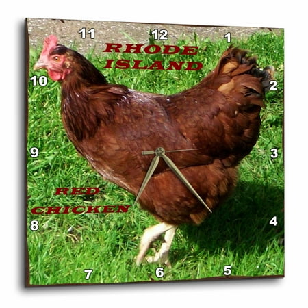 3drose state bird of rhode island red chicken wall clock 13 by 13