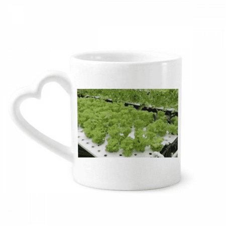 

Waterless Cultivated Vegetables Mug Coffee Cerac Drinkware Glass Heart Cup