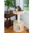 thumbnail image 6 of Armarkat Premium Pinus Sylvestris Wood,real wood Cat Tree S2906, 6 of 6