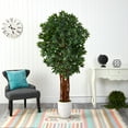thumbnail image 3 of Nearly Natural 6' Lychee Artificial Tree in White Planter, 3 of 4