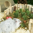 thumbnail image 3 of 9Pcs Rabbit Chew Carrots Hamster Chewing Toys Small Animals Teething Sticks, 3 of 9