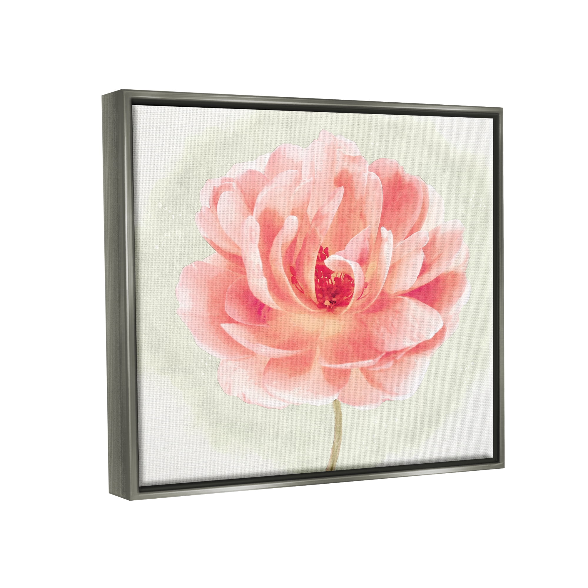 Stupell Industries Soft Pink Peony Botanical & Floral Painting Gray Floater Framed Canvas Art Print Wall Art, 21 x 17