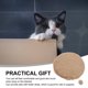 thumbnail image 3 of UPGRATOR 1Ud Pet Warm Cushion Con Material Premium Para Y Perros Relajación Y, 3 of 7
