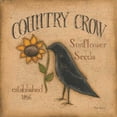 thumbnail image 3 of Lewis, Kim 20x20 Black Modern Framed Museum Art Print Titled - Country Crow, 3 of 5