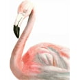 thumbnail image 2 of McCavitt, Naomi 15x18 White Modern Wood Framed Museum Art Print Titled - Watercolor Flamingo, 2 of 4