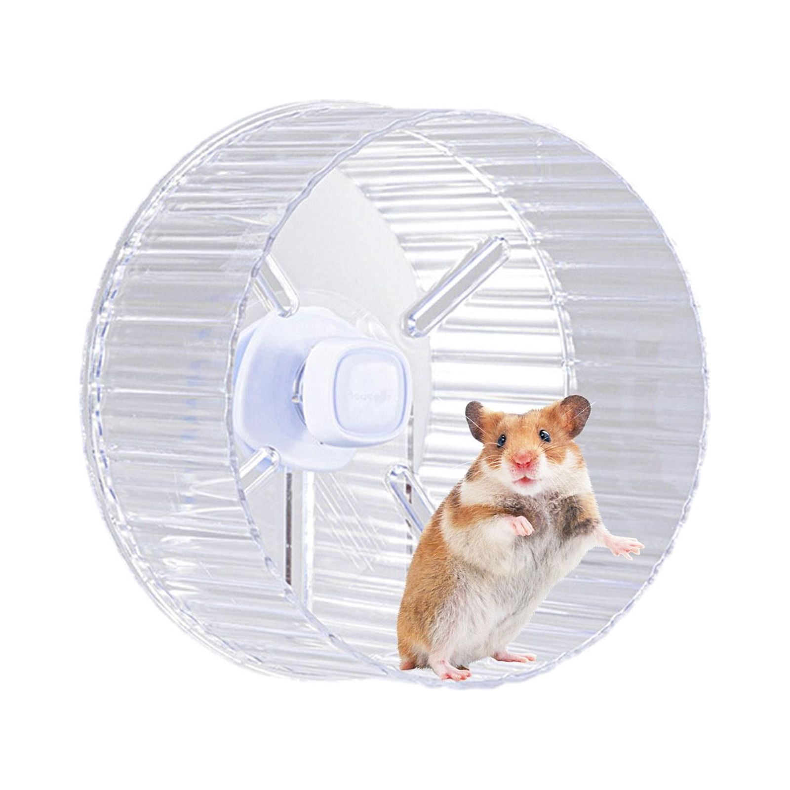 Bvdfgk Hamster Exercise Wheels, Round Small Animals Exercise Wheels for Dwarf Rat Small Clear 21cm No Stands