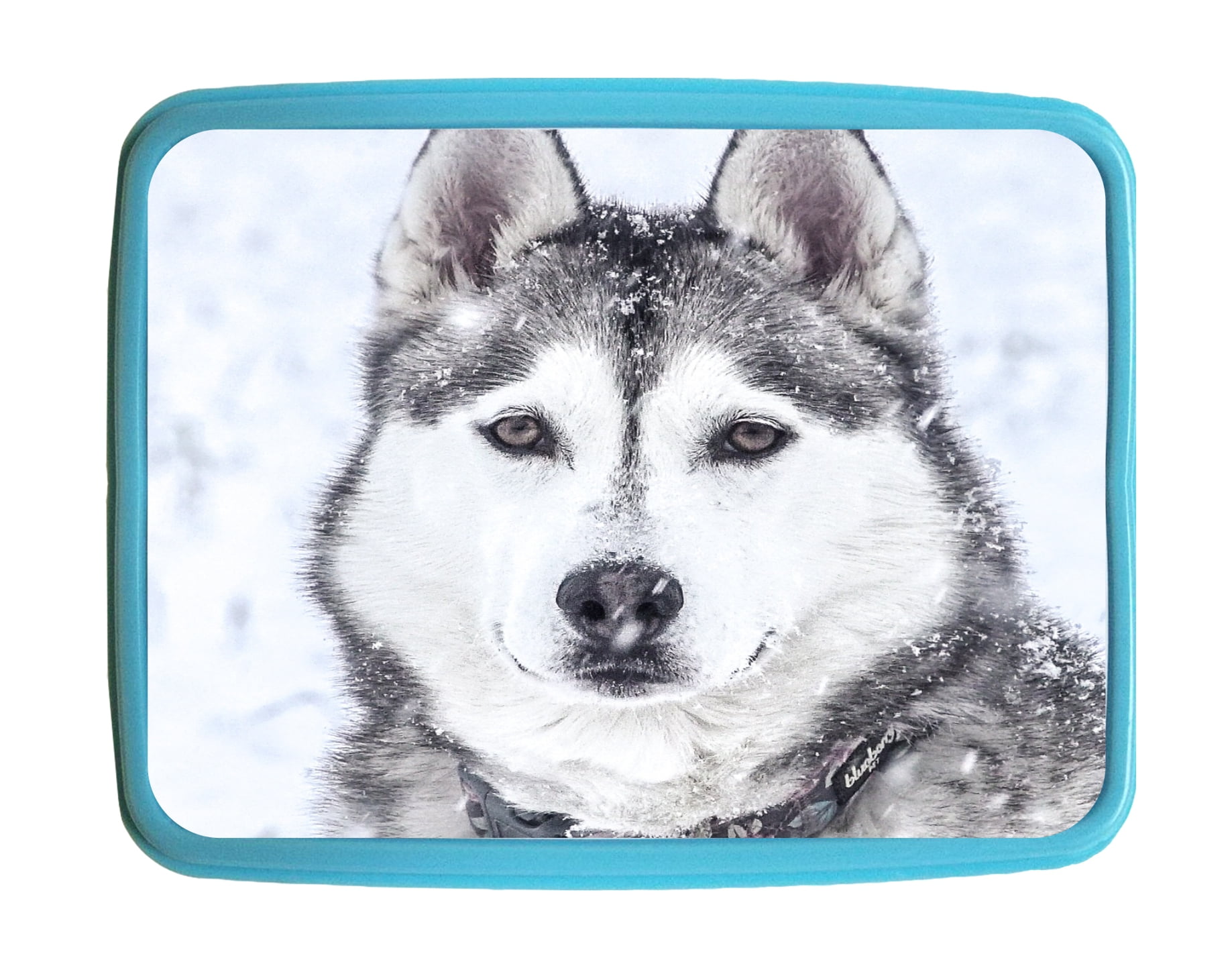 Lunchbox Puppy Snow Husky Wolf Kids Bento Lunch Box with 3 Compartment